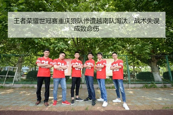 wang-zhe-rong-yao-shi-guan-sai-chong-qing-lang-dui-can-zao-yue-nan-dui-tao-tai-zhan-shu-shi-wu-cheng-zhi-ming-shang-2-468.jpg