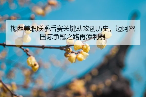 mei-xi-mei-zhi-lian-ji-hou-sai-guan-jian-zhu-gong-chuang-li-shi-mai-a-mi-guo-ji-zheng-guan-zhi-lu-zai-tian-li-qi-2-330.jpg