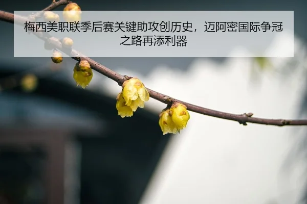 mei-xi-mei-zhi-lian-ji-hou-sai-guan-jian-zhu-gong-chuang-li-shi-mai-a-mi-guo-ji-zheng-guan-zhi-lu-zai-tian-li-qi-3-408.jpg