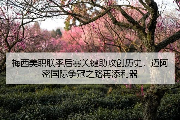 梅西美职联季后赛关键助攻创历史，迈阿密国际争冠之路再添利器
