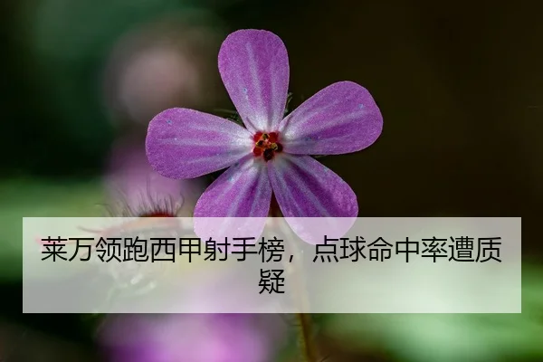 莱万领跑西甲射手榜，点球命中率遭质疑