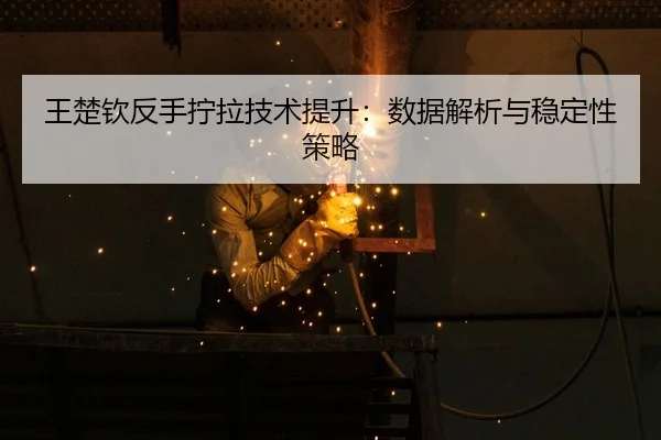 wang-chu-qin-fan-shou-ning-la-ji-shu-ti-sheng-shu-ju-jie-xi-yu-wen-ding-xing-ce-lve-3-985.jpg