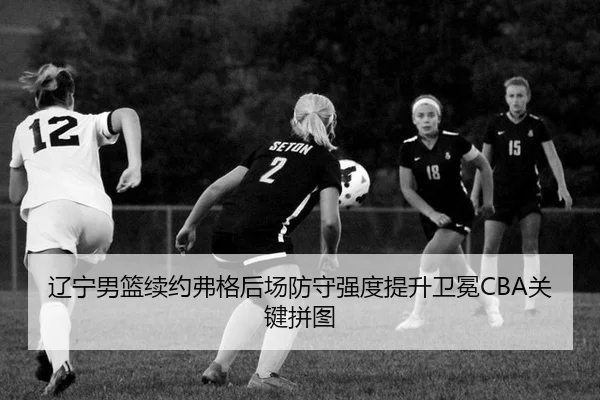 liao-ning-nan-lan-xu-yue-fu-ge-hou-chang-fang-shou-qiang-du-ti-sheng-wei-mian-guan-jian-pin-tu-3-545.jpg