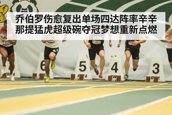 乔伯罗伤愈复出单场四达阵率辛辛那提猛虎超级碗夺冠梦想重新点燃